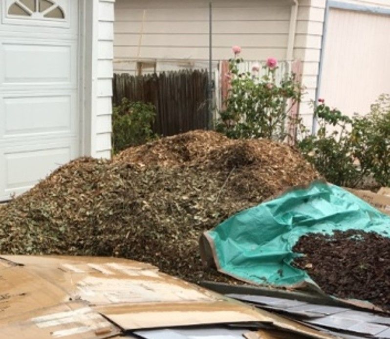 Sheet Mulching 2