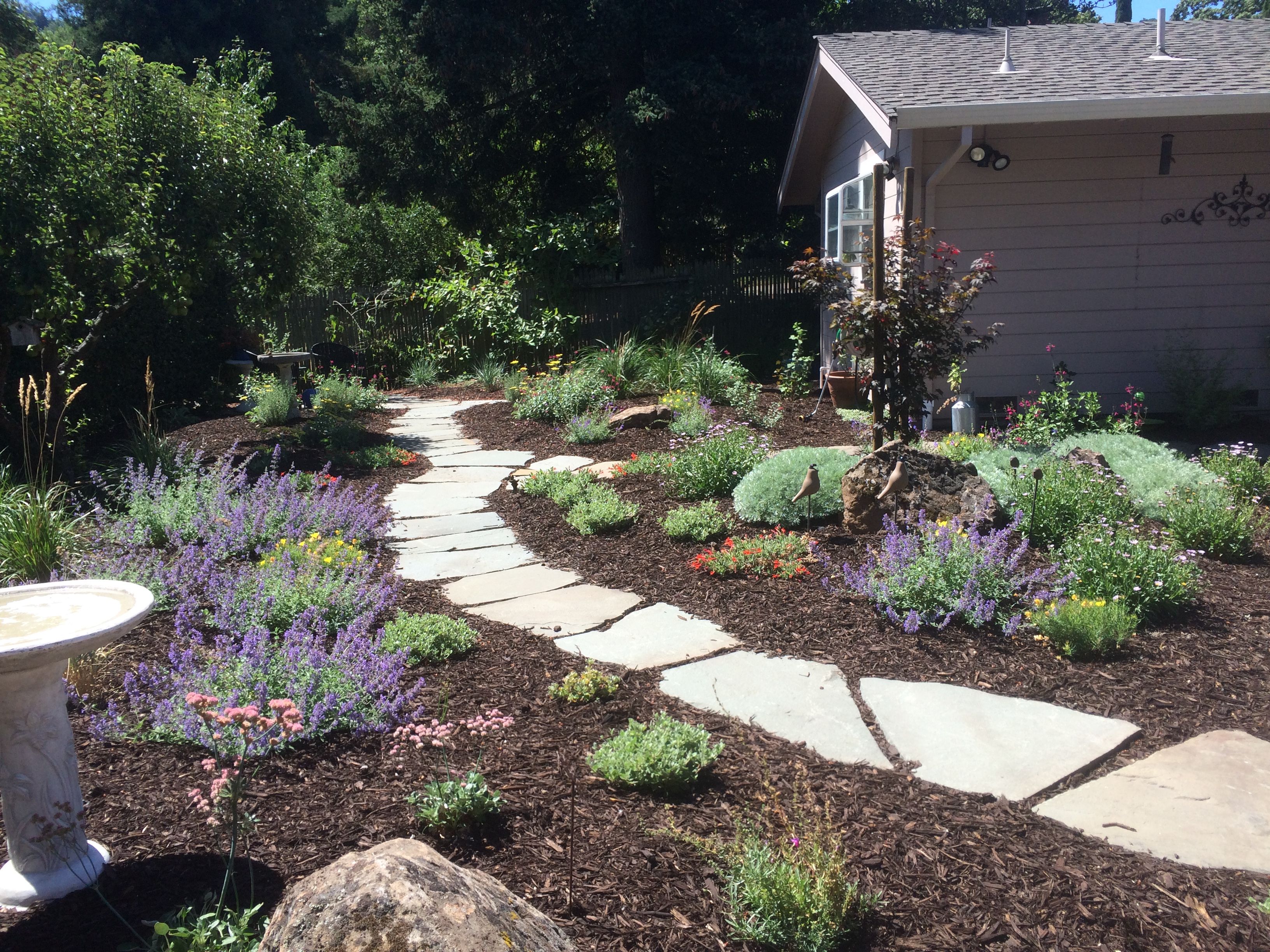 Water Wise Garden