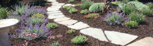 Mulched Landscape
