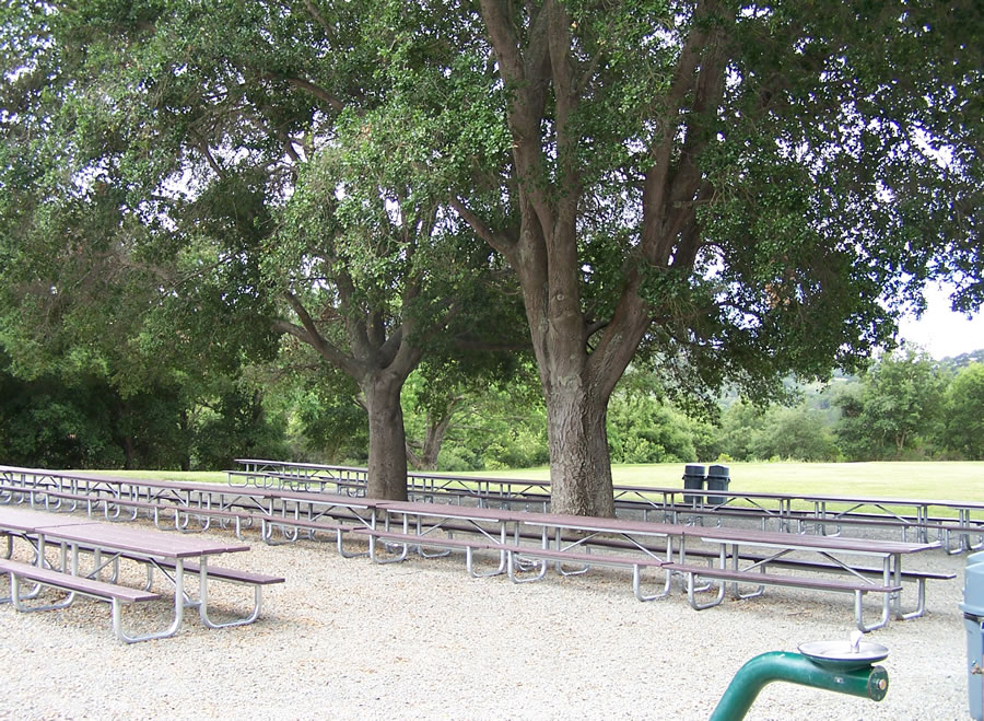 Upper Picnic Reserve at Lafayette Reservoir